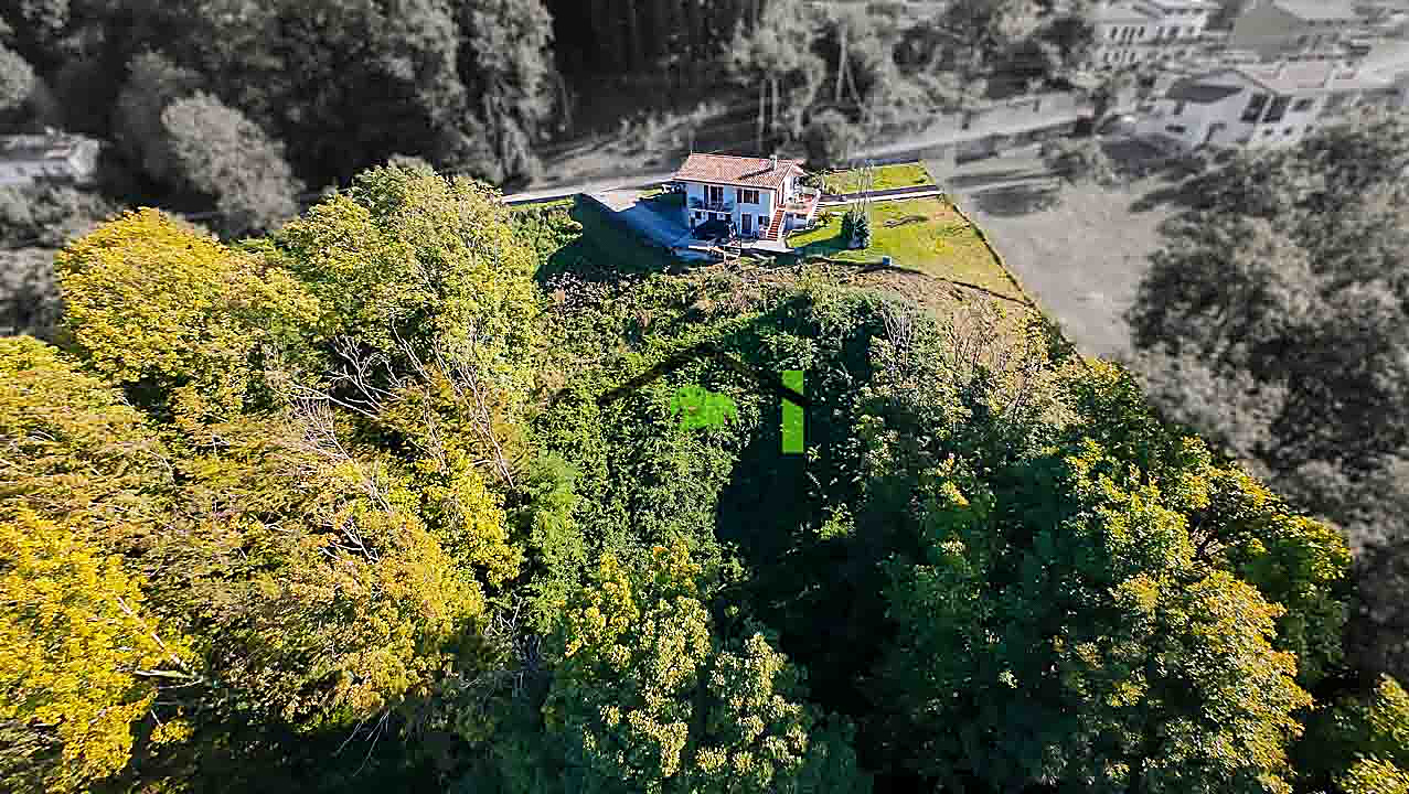 Vista aerea dall'alto casa e giardino